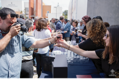 500anosfernaomagalhaes-20