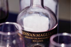 500anosfernaomagalhaes-3-09